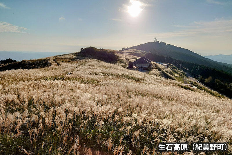 生石高原