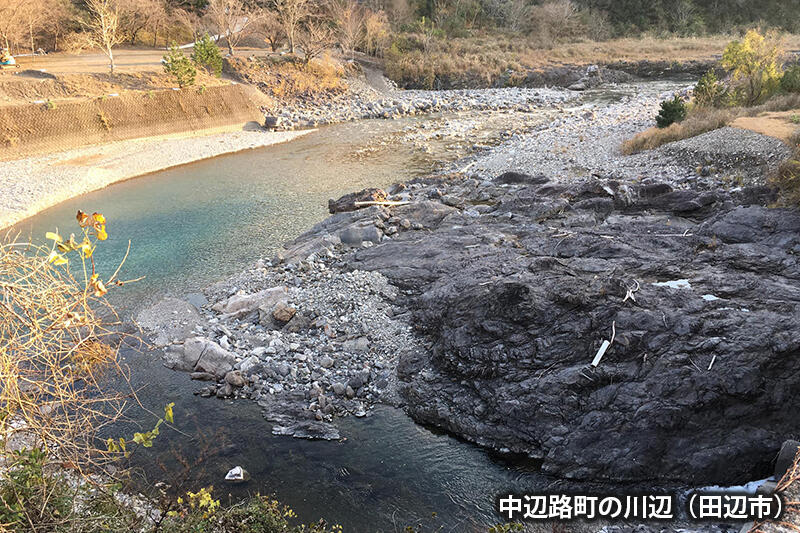 中辺路町の川辺