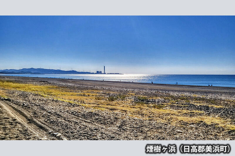 煙樹が浜