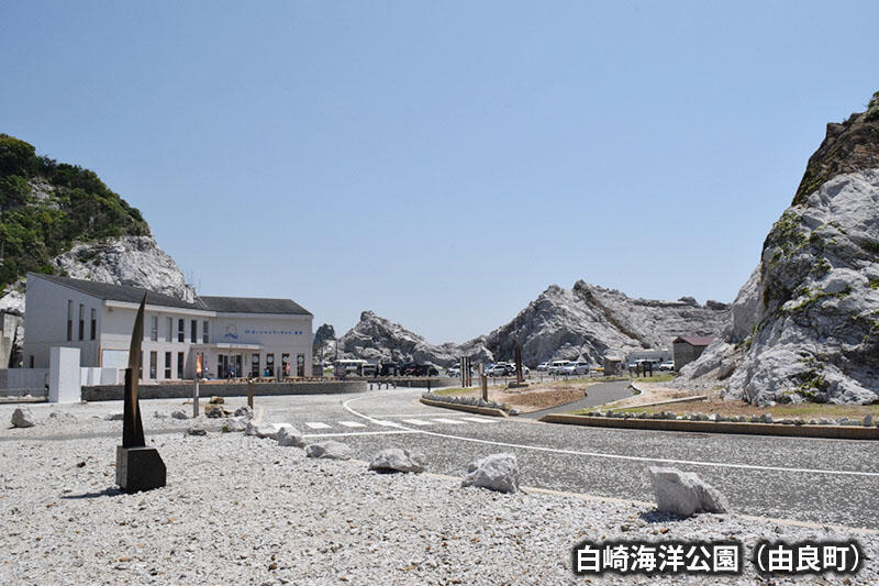 白崎海洋高原