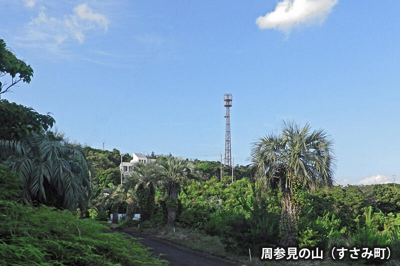 周参見の山