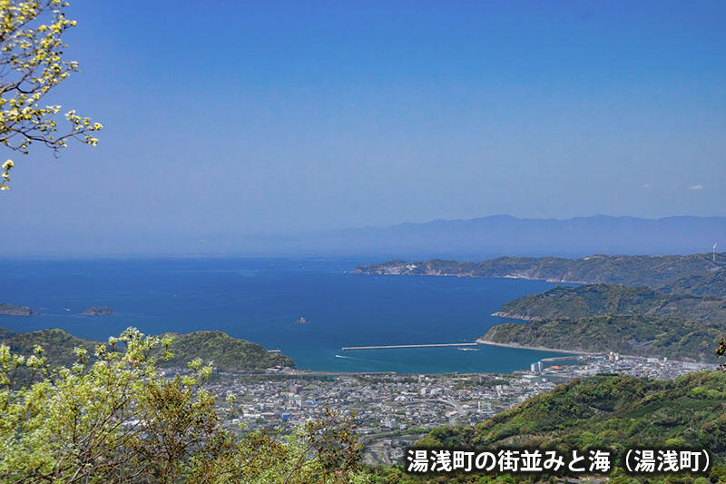 湯浅町の街並みと海