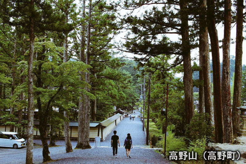 高野山