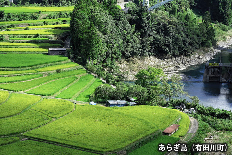 あらぎ島（有田川町）