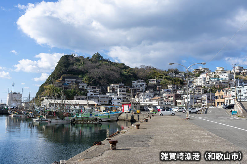 雑賀崎漁港（和歌山市）