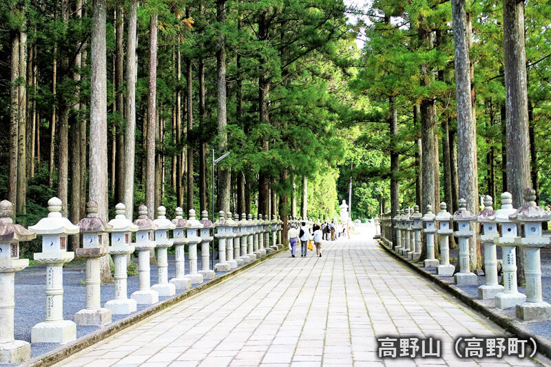 高野山