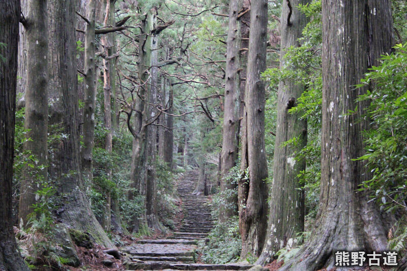 熊野古道